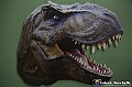 VBS_1055 - Dinosauri. Terra dei giganti